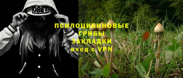 кристаллы Белокуриха