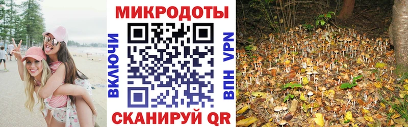 Галлюциногенные грибы мухоморы Симферополь